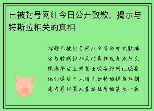 已被封号网红今日公开致歉，揭示与特斯拉相关的真相